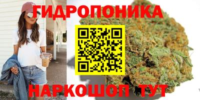 PSILOCYBIN Лесосибирск