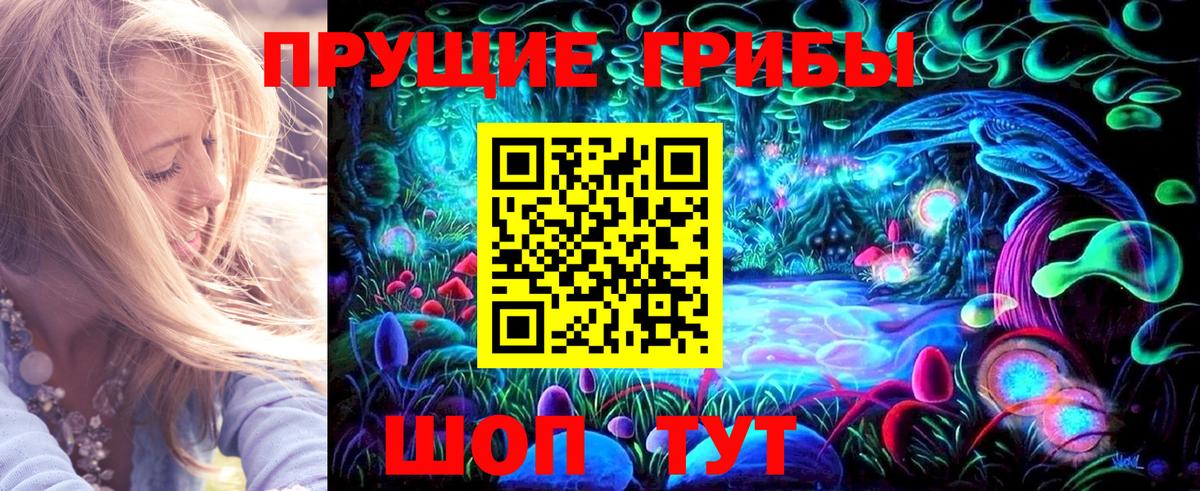 Псилоцибиновые грибы GOLDEN TEACHER Томск